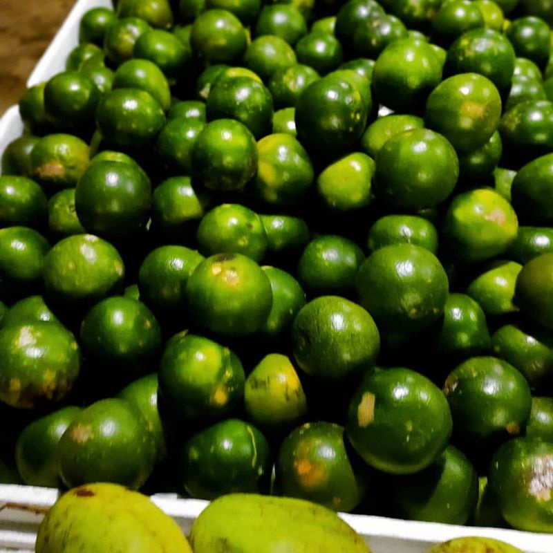 

Jeruk peras/ jeruk manis