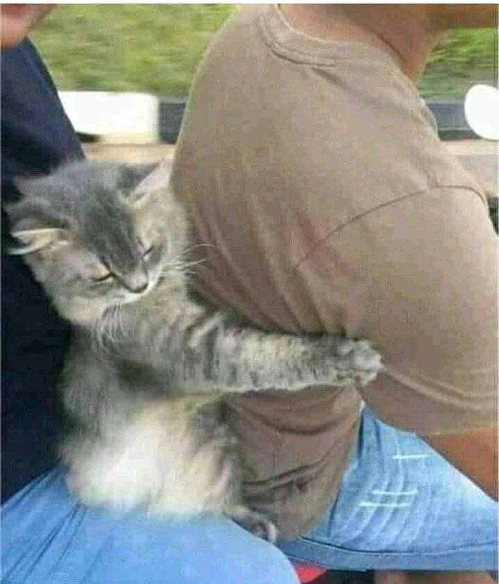 Maura Couple - Sania Ruffle Batik Couple Ori Ndoro Jowi Dnt Garansi Termurah Shopee - Batik Couple