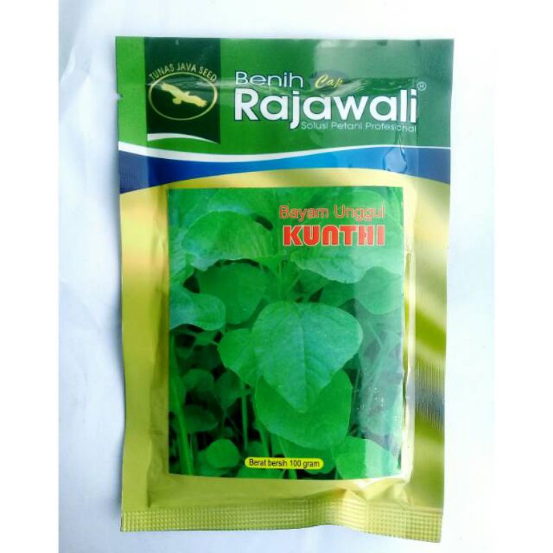 Benih Bayam Kunthi 100 gram  Cap Rajawali