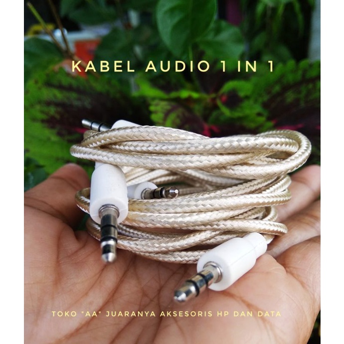 Kabel aux 1 in 1