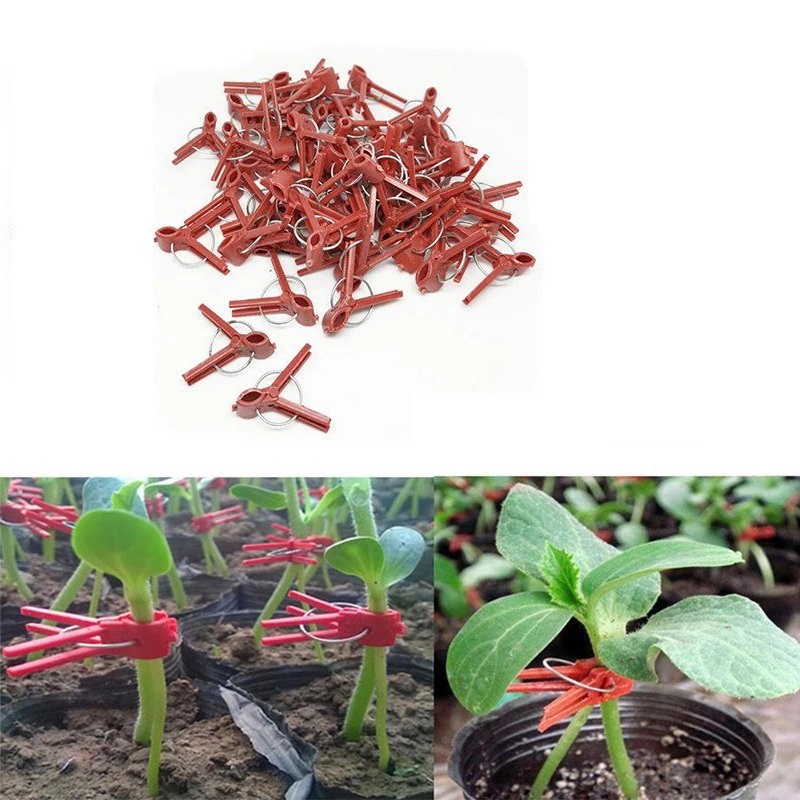 Japit merah Grafting Klip Merah Grafting Clip / Klip Okulasi / Penjepit Merah