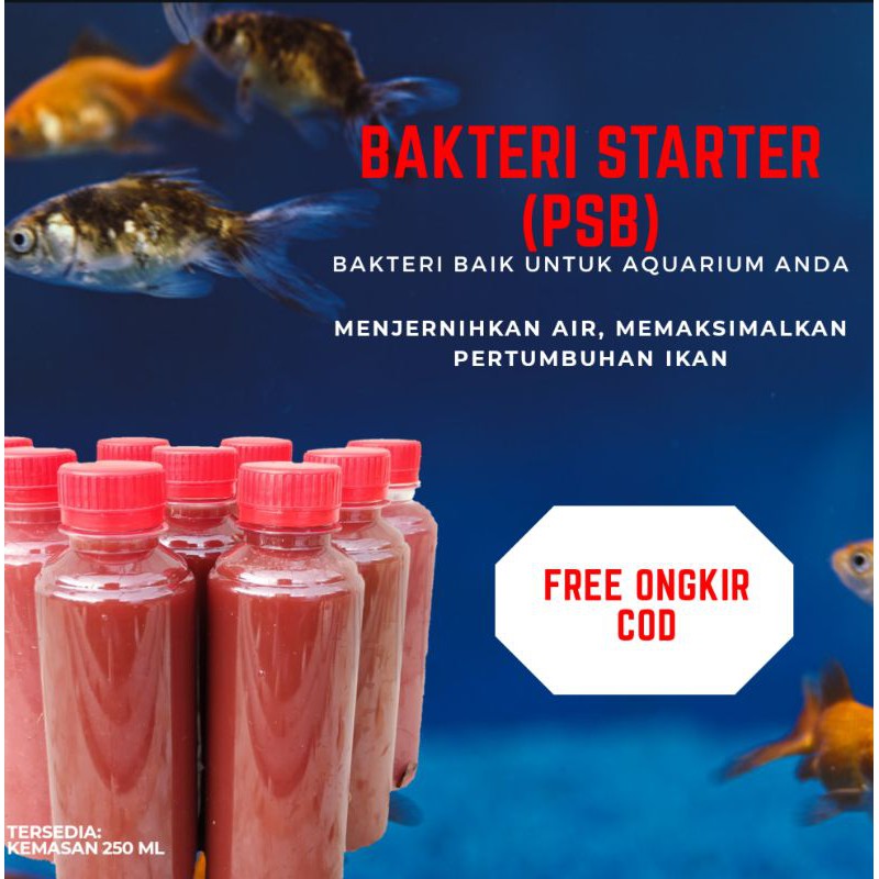 Bakteri Starter Aquarium Aquascape Probiotik Ikan Penjernih Air Bakteri Baik Shopee Indonesia