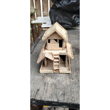 Rumah miniatur aquascape