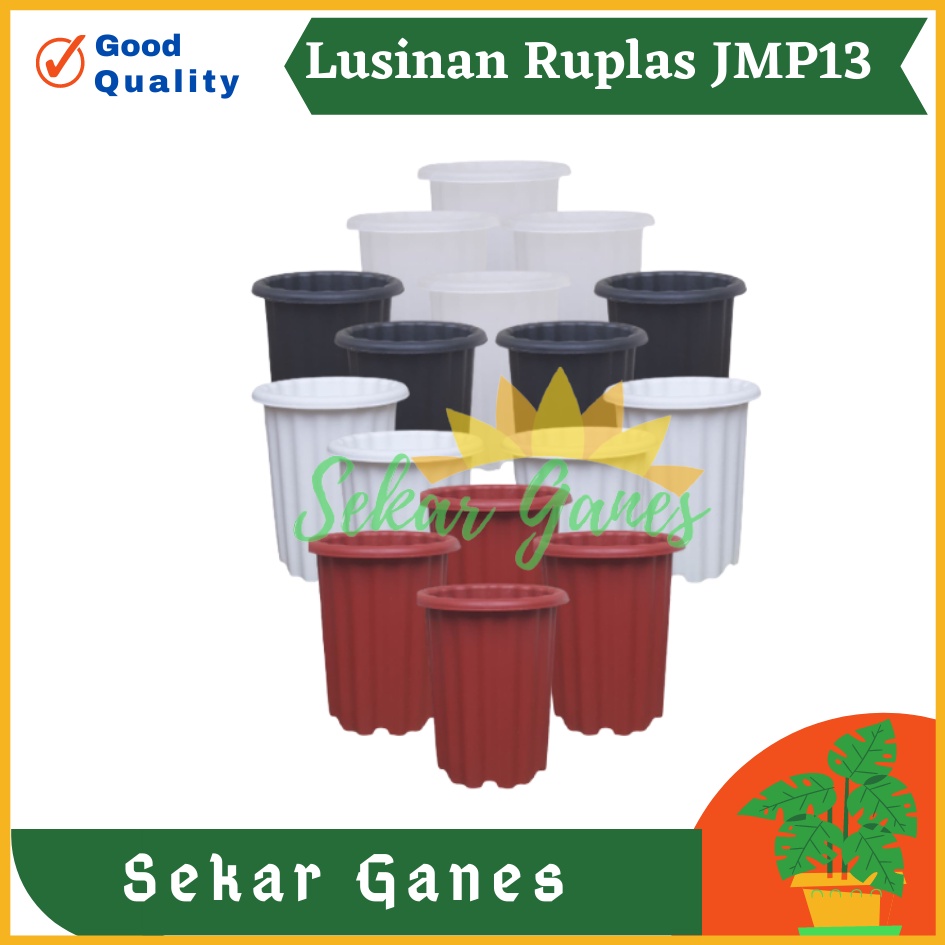 Sekarganes Lusinan 12pcs Pot Ruplas JMP 13 Putih Bening Transparan Hitam Merah Bata Merah Coklat Terracota Terracotta Mirip Pot Yogap Ypt 10 13 15 Putih Coklat Merah Bata Bening Transparan Pot Yogap 17 18 19 Pot Yogap Murah Pot Bunga Tinggi Pirus