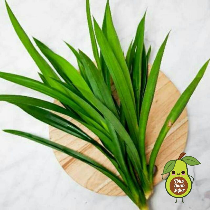 

DAUN PANDAN WANGI FRESH 1 IKAT