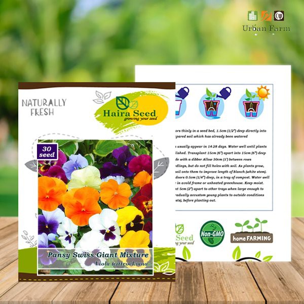 

Benih-Bibit Bunga Pansy Swiss Giant Mix - Haira Seed
