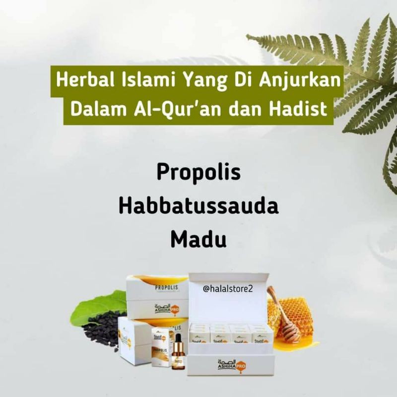 

minuman herbal meningkatkan daya tahan tubuh