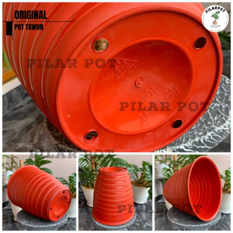 Pot bunga tanaman tawon MERAH BATA tinggi (PIRUS) 24cm - ORIGINAL