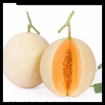 Benih Melon Rz Taj Mahal - 50 Seeds (Kemasan Repacking)