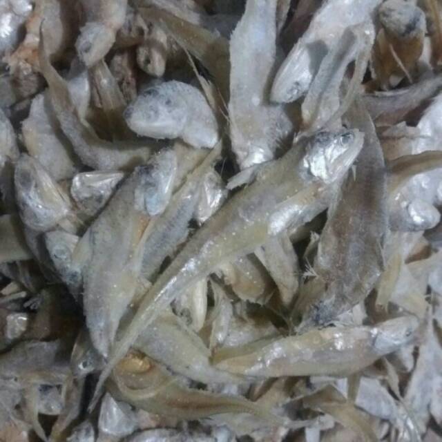 

Ikan asin bulu ayam
