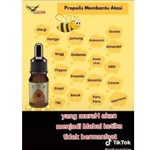 propolisMOMENT475rb2botol