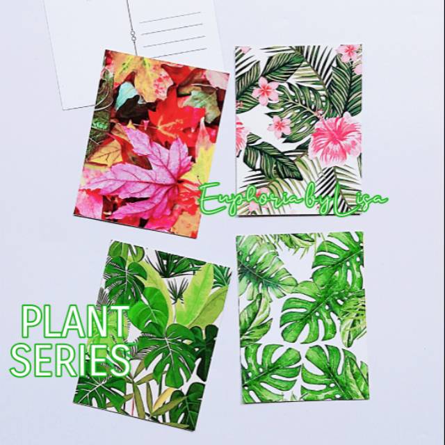 

Mini Postcard (kartu pos / kartu ucapan) PLANT SERIES