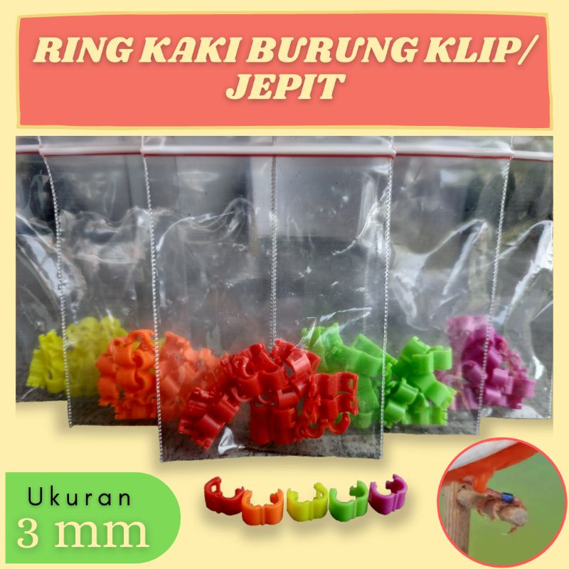 Ring Jepit Ukuran 3 mm Untuk Burung Kenari Ciblek Blackstrod