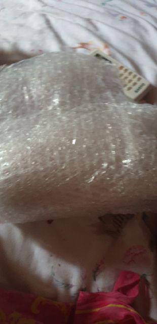 Ringbox Terrrarium Only Mini