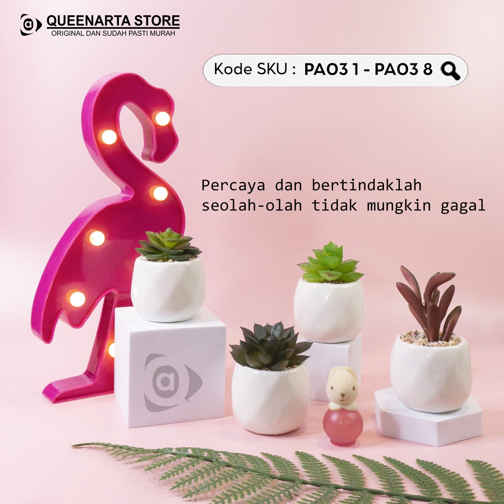 Queenarta Sukulen Mini Jenis Tanaman Kaktus dan Bunga Hias Plastik Pot Keramik Buat Dekorasi Rumah K
