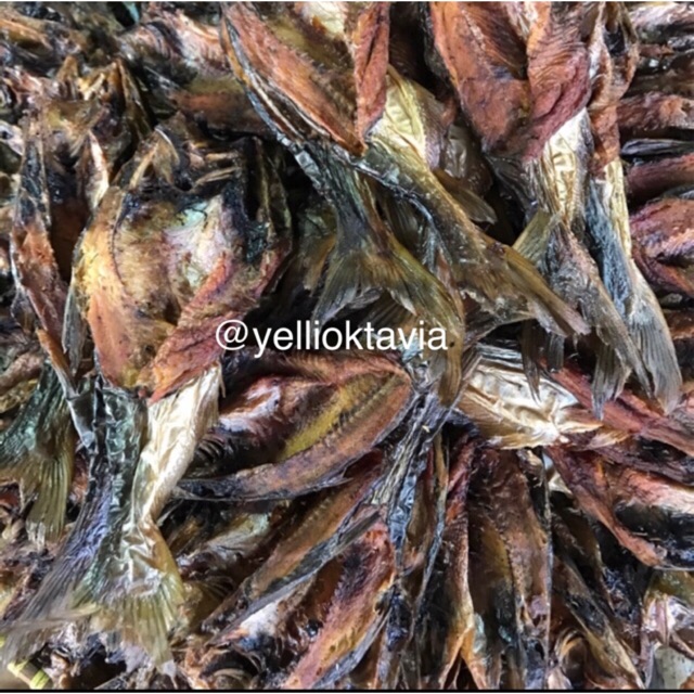 

Ikan Sale patin