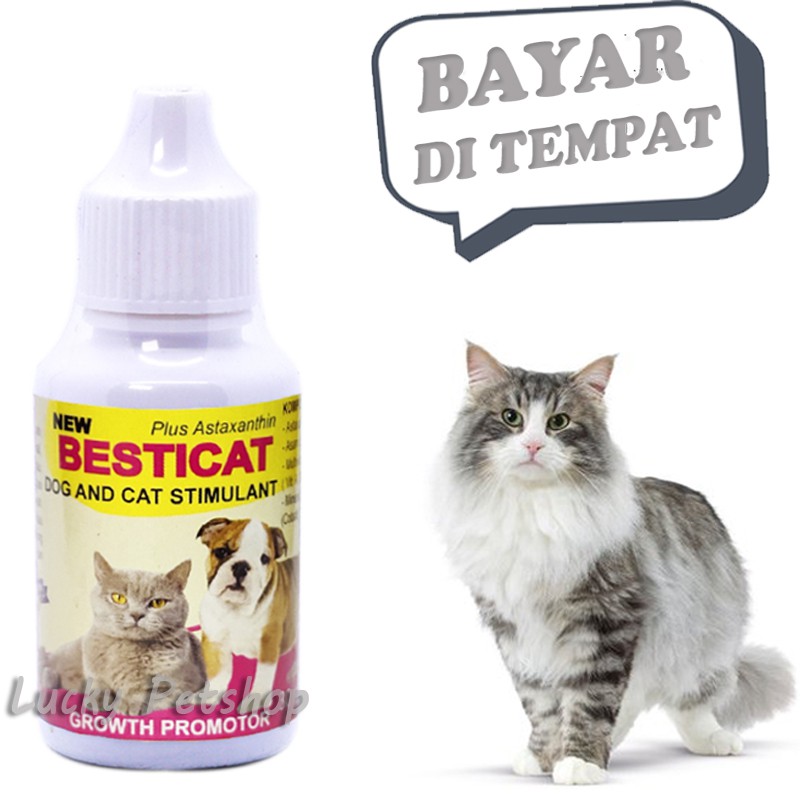 VITAMIN NAFSU MAKAN ANJING KUCING BESTICAT