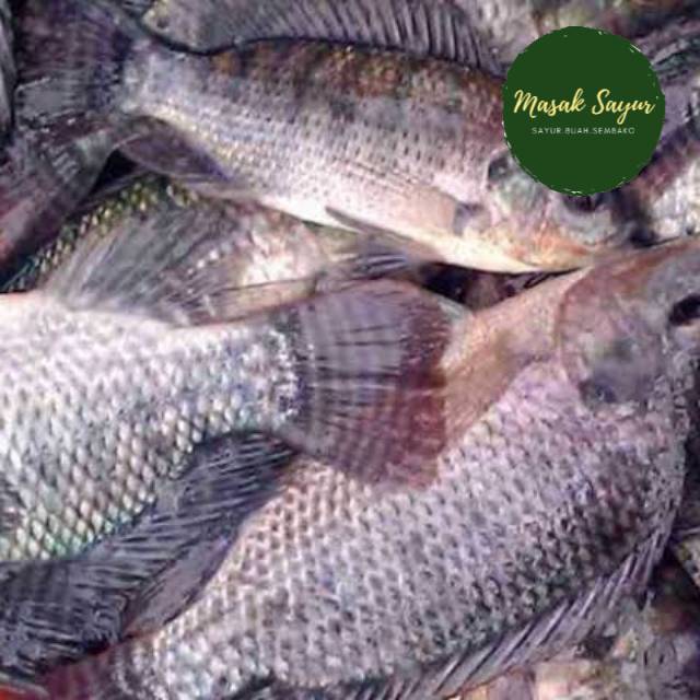 

Ikan nila segar bandung 1 kg