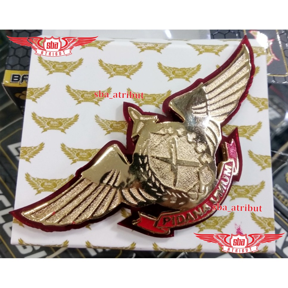 WING KEJAKSAAN PIDUM | PIDANA UMUM