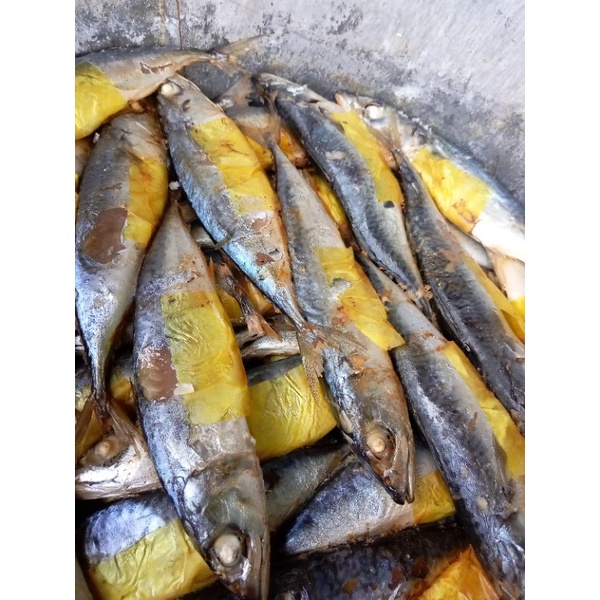 

Pindang ikan Salem per ekor