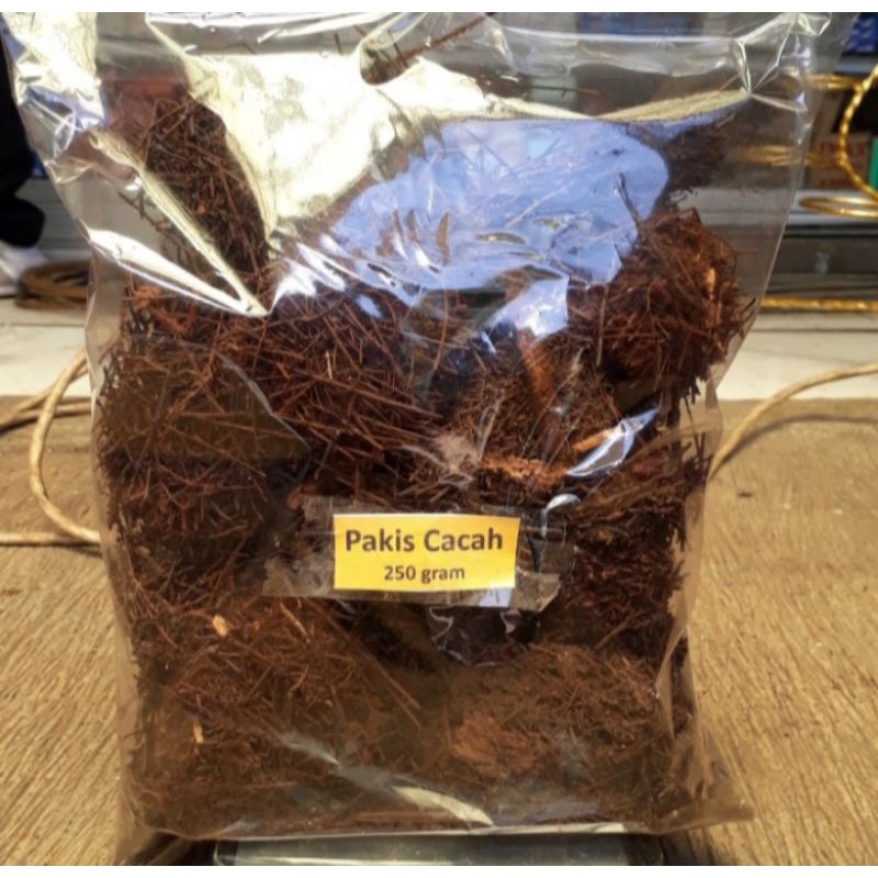 media tanam akar pakis, pakis cacah halus-kasar