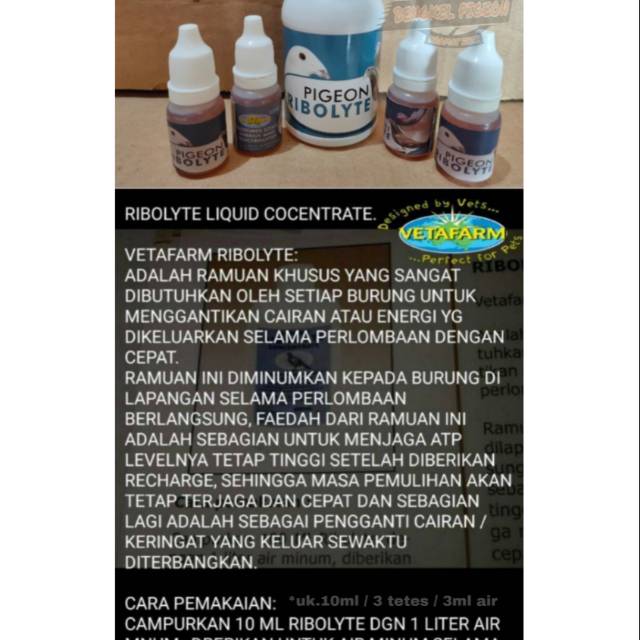 Vitamin pengganti energi 100ml rebolyte ribolit rebolite vetafarm khusus burung merpati dara lomba