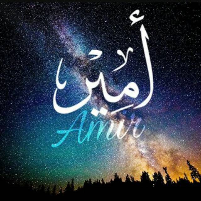 amir117046