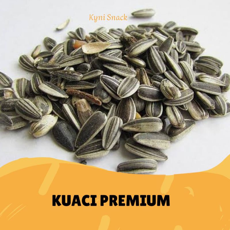 

CAMILAN MURAH KUACI PREMIUM
