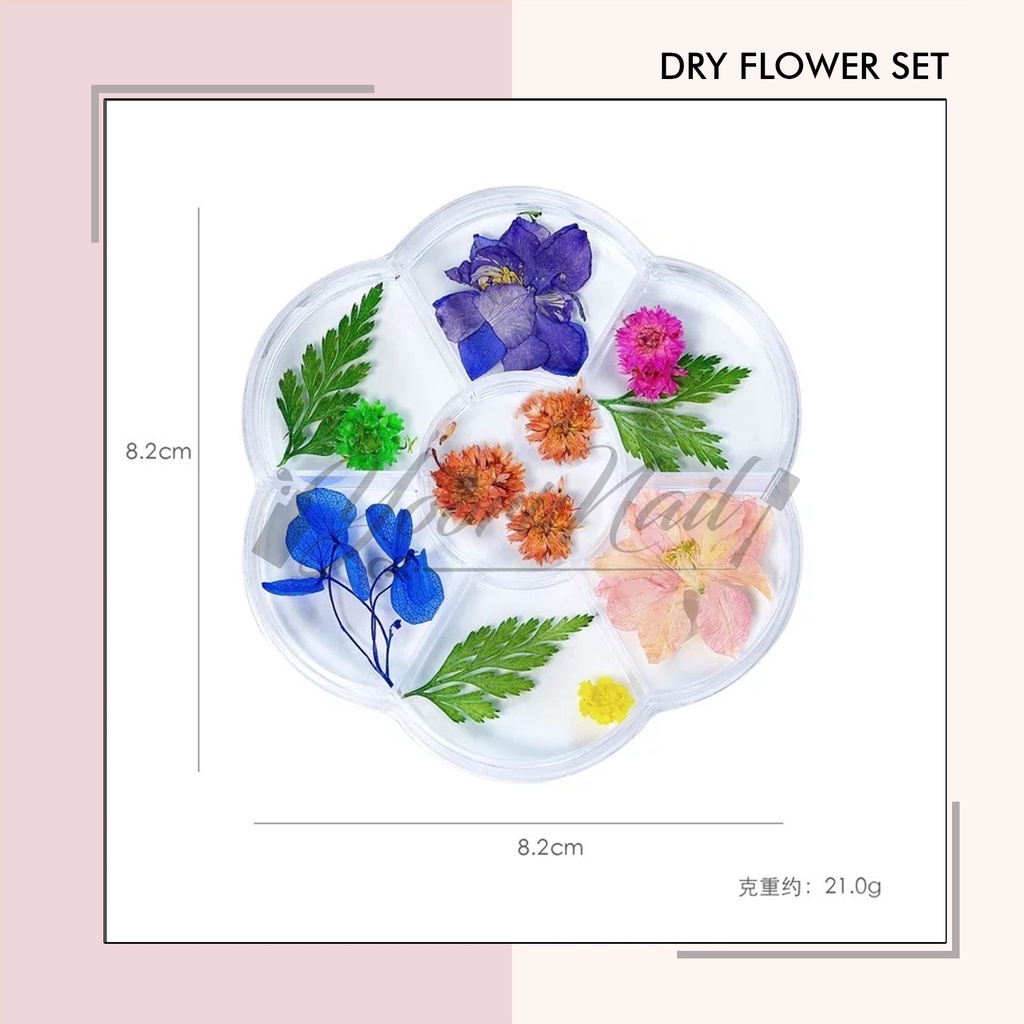 Dry Flower 12 warna bunga kering 7 Warna nail art mini dry flower kuku