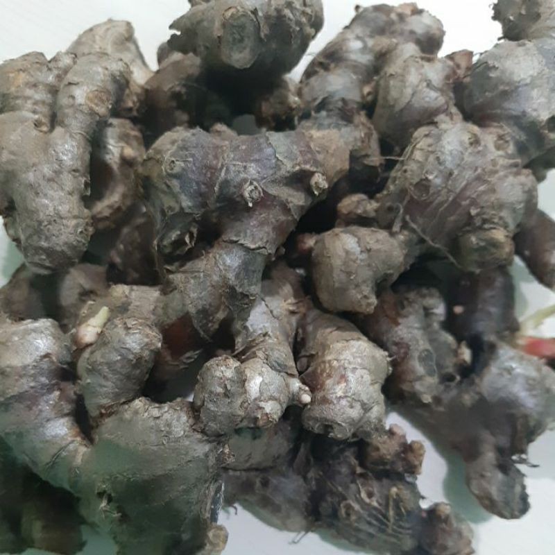 

jahe merah segar 1 kg