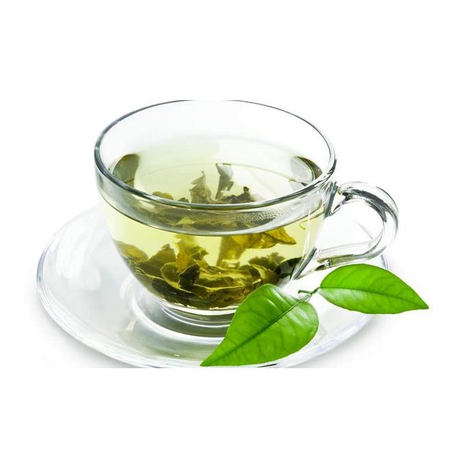 BIBIT POHON DAUN TEH HIJAU - TANAMAN DAUN TEH HIJAU (OBAT HERBAL) TERLARIS