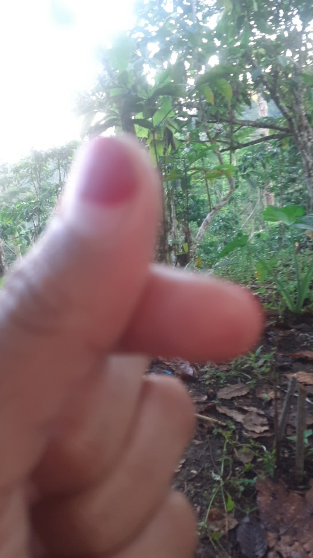 Gamis Batik Wanita S M L Xl Xxl 3xl 4xl 5xl 6xl 7xl