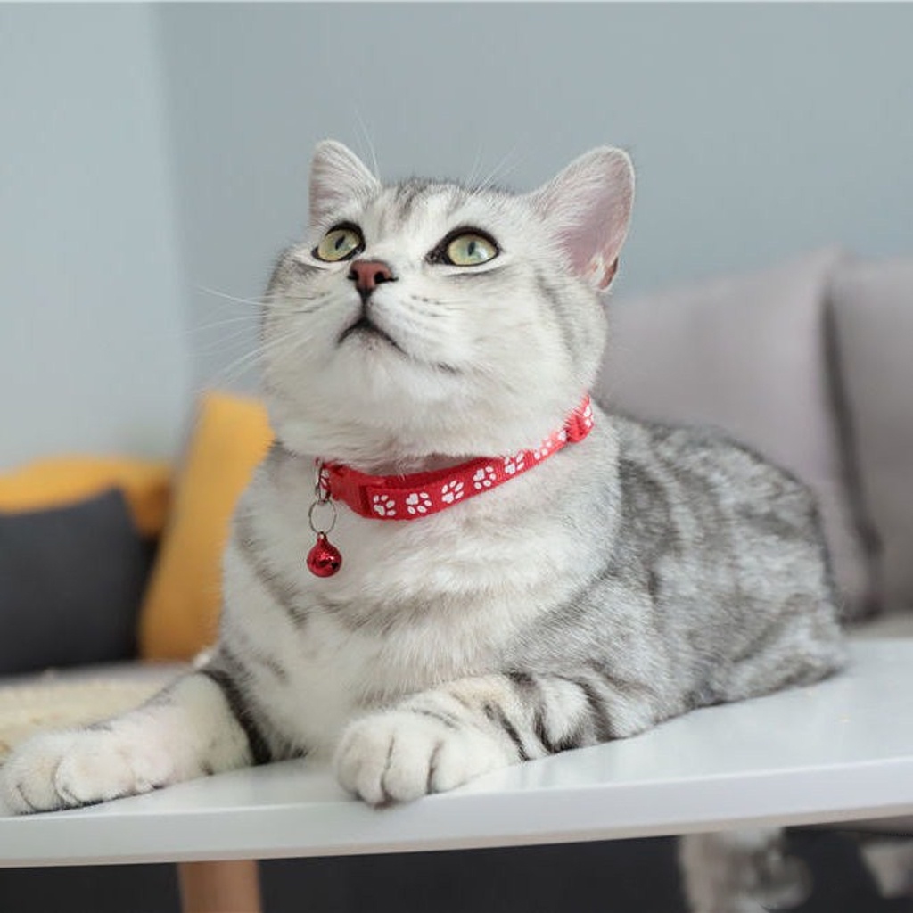 ❤GTB❤ kalung kucing kalung ikatan kupu-kupu dengan motif kotak anjing kecil dan kucing berlonceng aksesoris hewan peliharaan  R761 762