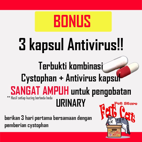 Obat Urinary Cystophan obat susah kencing kucing seperti cystaid plus