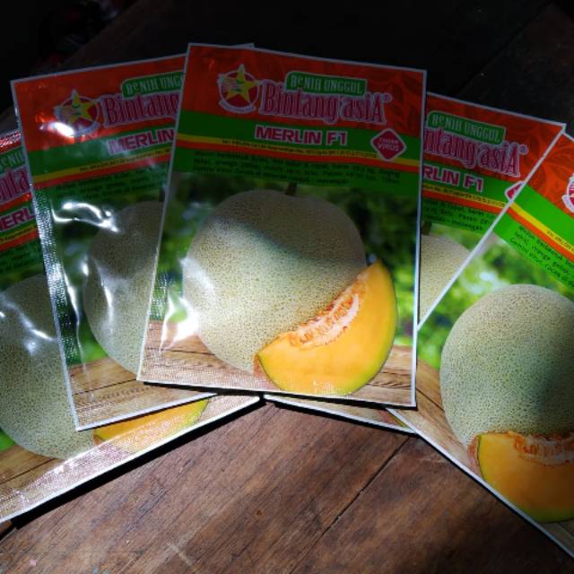 HOT PRODUK  MELON MERLIN F1
