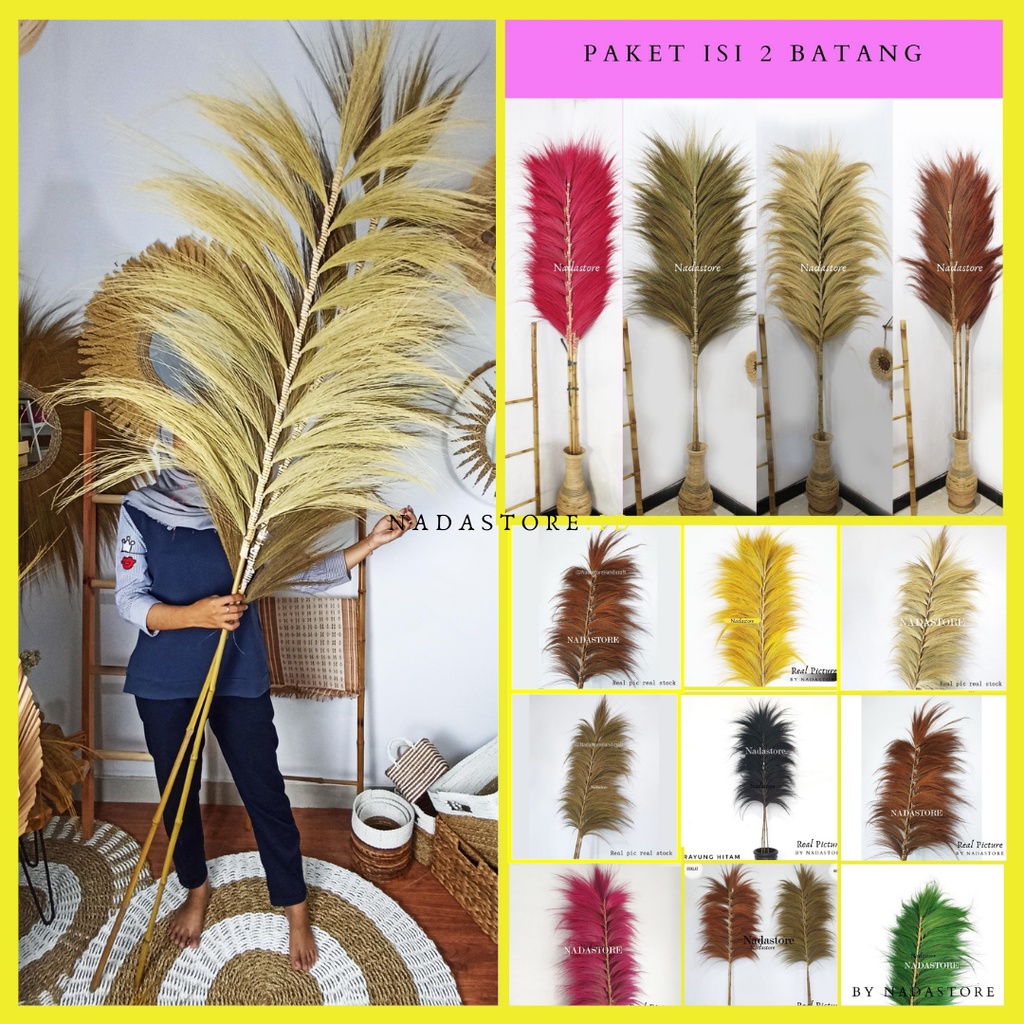 (Bundling isi 2 ) Rayung Stick / Bunga Kering / Dried flower / Bunga Hias / Natural Leaf Rayung Stick / Homedecor / Pajangan Dinding / Sekat Ruangan Tinggi 2 Meter Termurah untuk isi 2