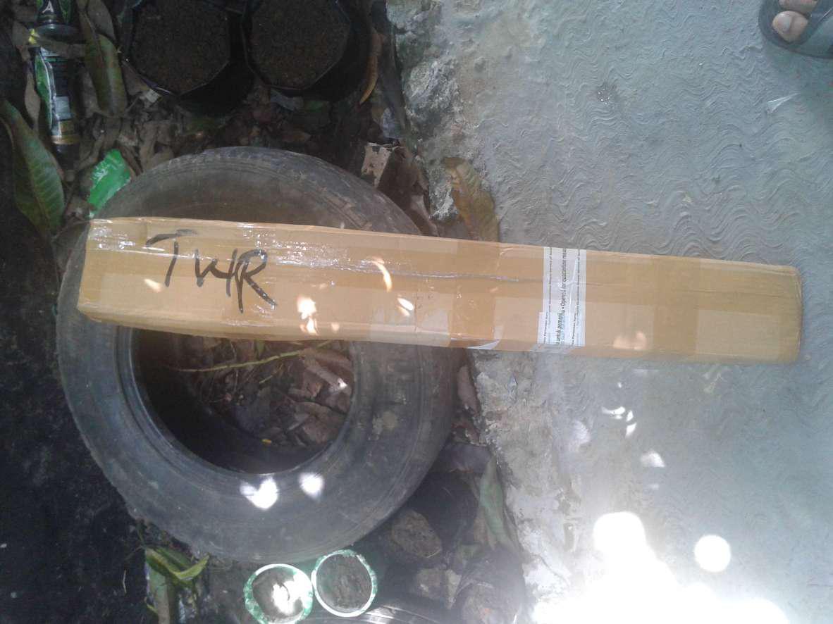 Bibit Tanaman Buah Durian Montong