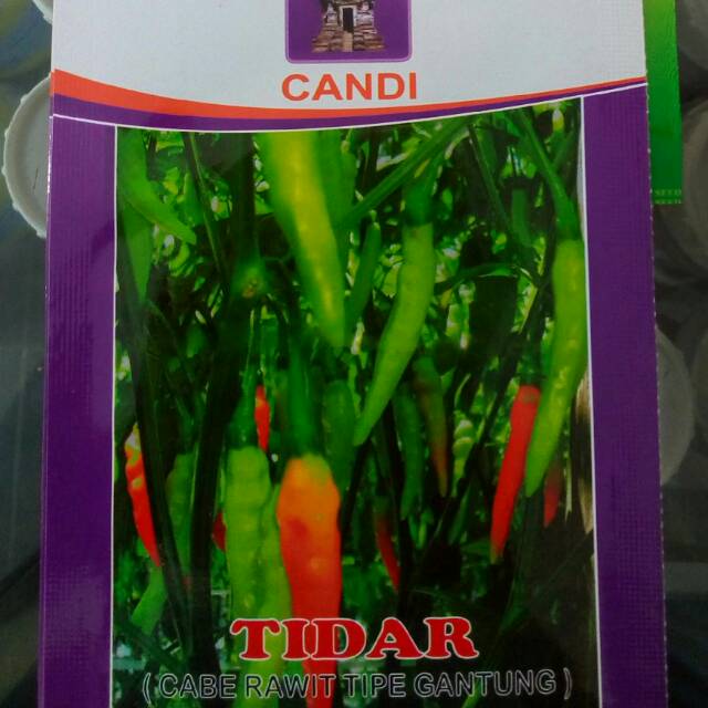 benih cabai rawit TIDAR dari CAP CANDI 10gram
