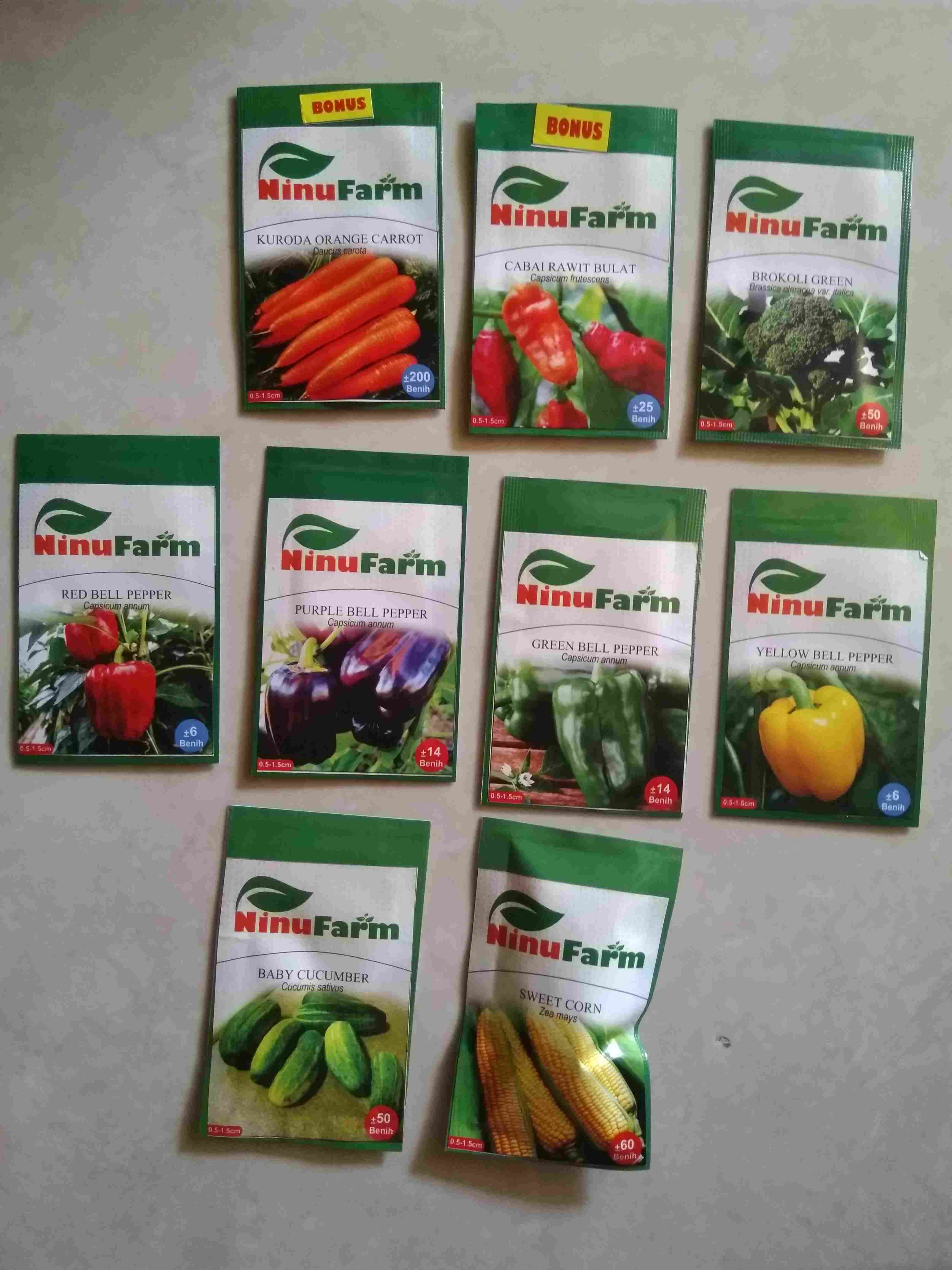 Benih Timun Lalap/baby Cucumber 50seeds