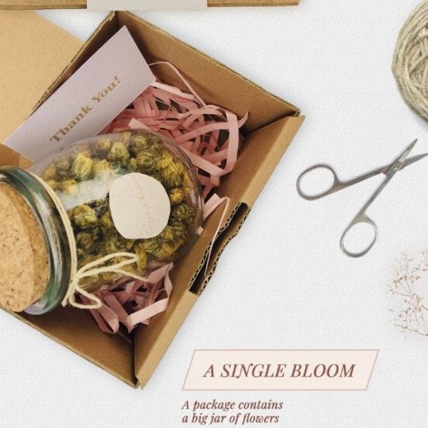 

[COD] Hampers Flower Tea (A Single Bloom: One Big Jar) [COD]