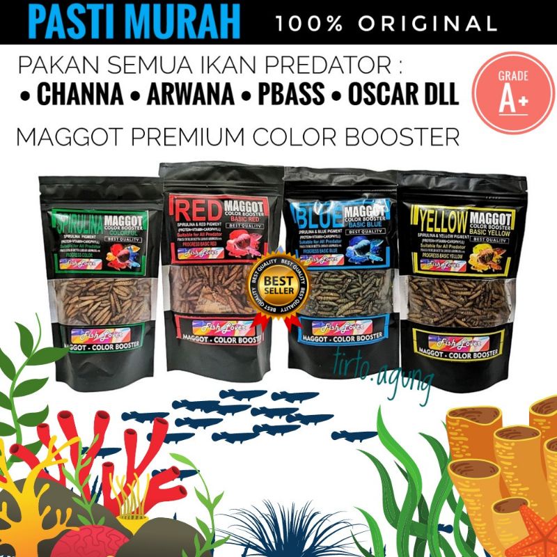 PROMO MAGGOT MONSTER PREMIUM MAGOT GRADE  A++  COLOR BOSSTER BEST QUALITY SPIRULINA PIGMENT RED BLUE YELLOW GREEN CHANA ARWANA PBASS OSCAR LOUHAN DLL ALL PREDATOR MAKANAN PAKAN IKAN HIAS