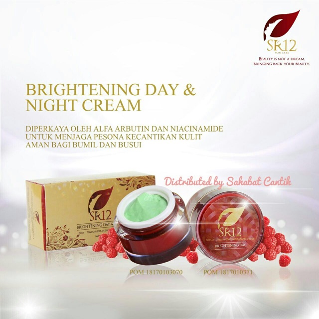 Brightening cream sr12