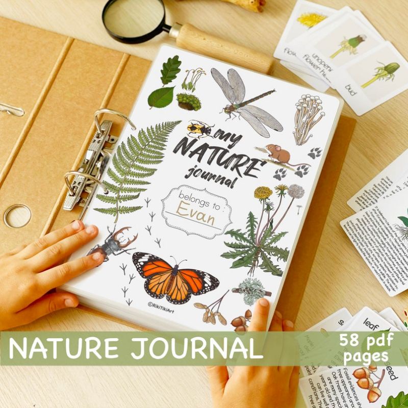Nature Activity Book / Homeschool Learning Resources / Nature Study Preschool Curriculum / Toddler B