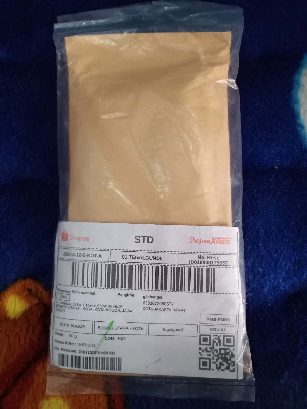 Thermafreeze Ice Gel Lembaran Dry Ice Pack Kering