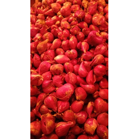 

Bawang Merah Berebes (Asli) 500gr. Pengiriman Jakarta Timur