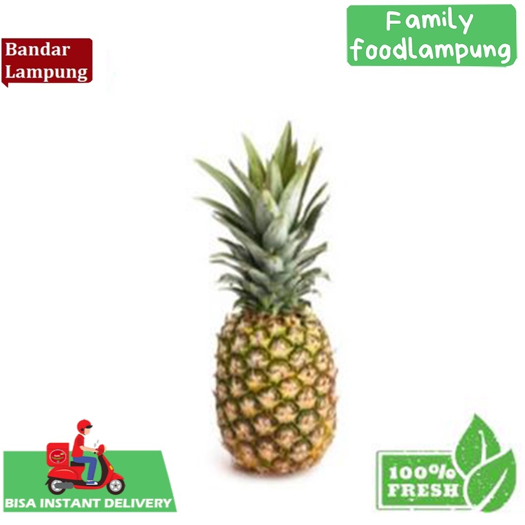 

Family Food Lampung Nanas Madu 1 pcs