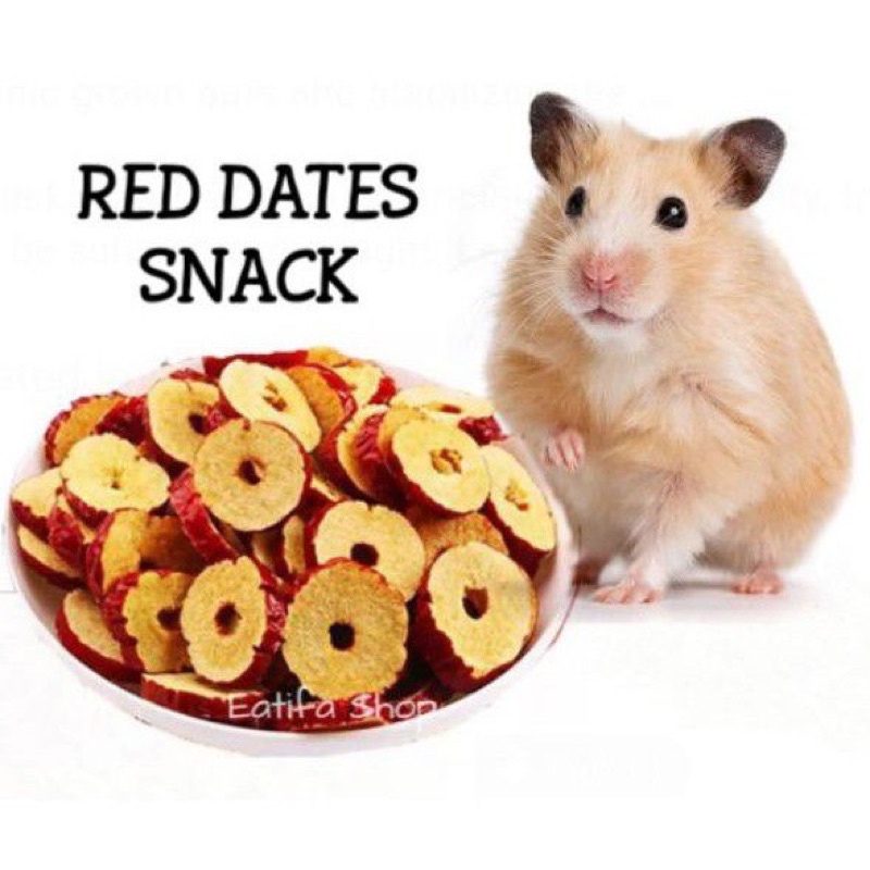 Red dates snack for hamster rabbit guinea pig sugar glider