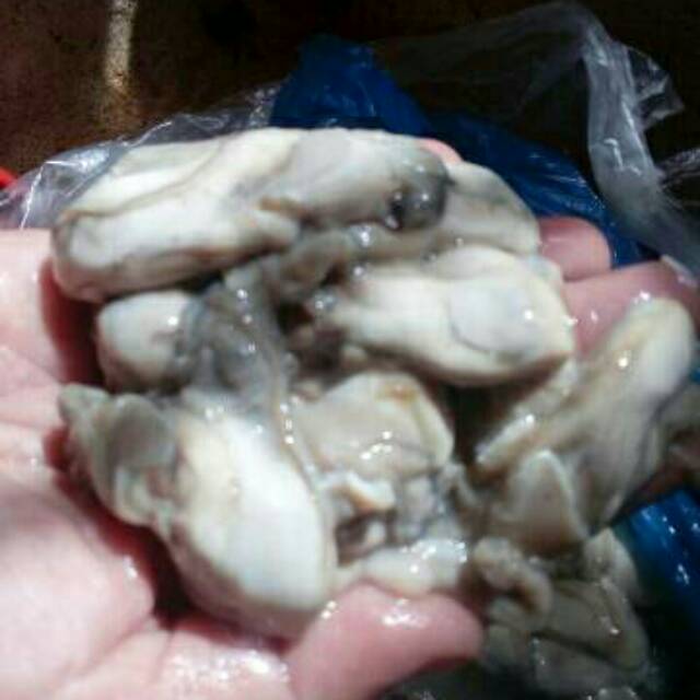 

Tirem Kupas / Tiram Kupas