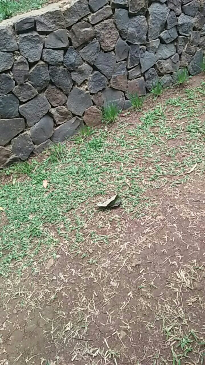 Mg Kepala Portable Gas Torch Flame Gun Las Butane Blow Torch Api Jet