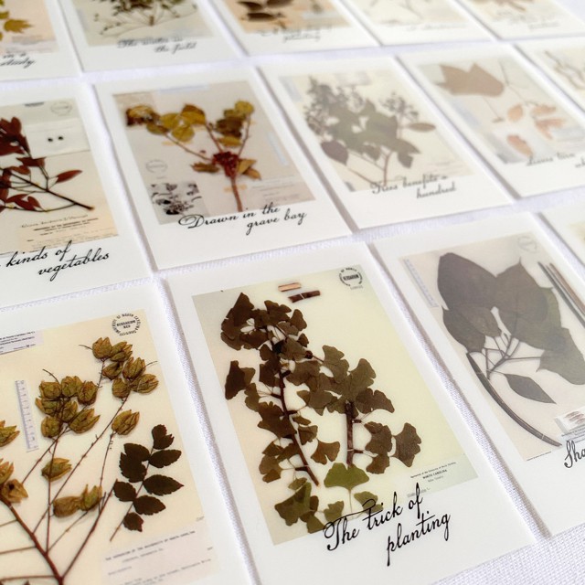

Polaroid PET Sticker | Journal Supplies